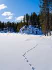 Frozen lake near Myllykoski. Winter in the Oulanka National Park in Finnish Lapland. Art Print